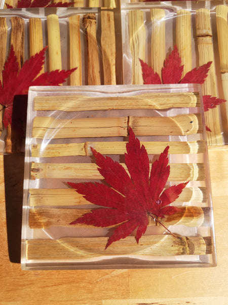 Bamboo with maple leaf coaster