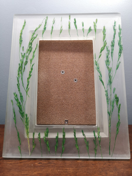 Green rice stalks picture frame