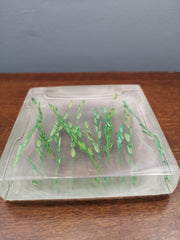 Green rice stalks soap dish